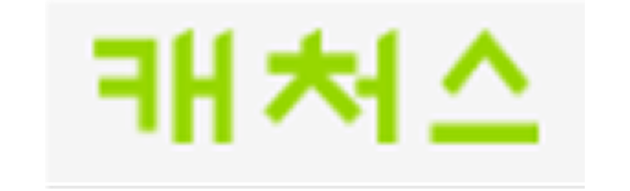 company_주식회사 캐처스