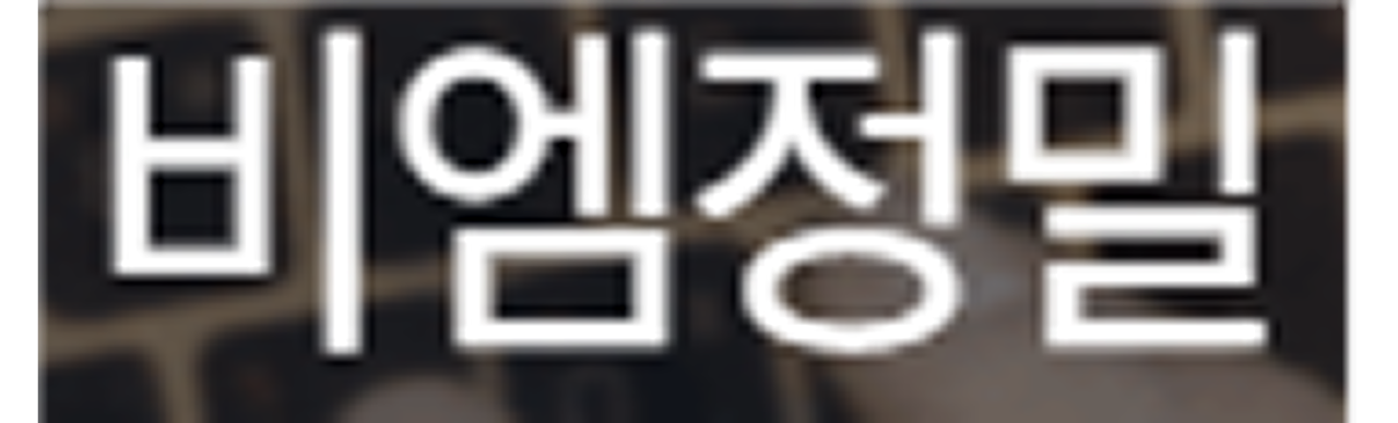 company_주식회사 비엠정밀